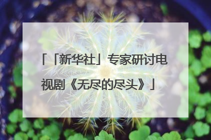 「新华社」专家研讨电视剧《无尽的尽头》