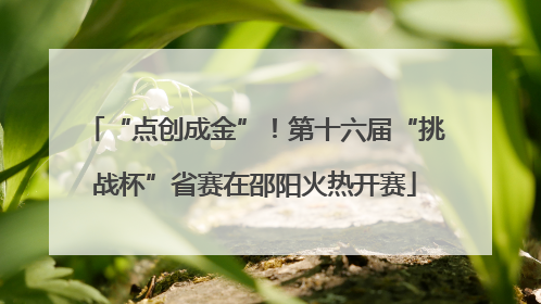 “点创成金”！第十六届“挑战杯”省赛在邵阳火热开赛