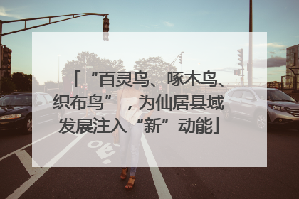 “百灵鸟、啄木鸟、织布鸟”，为仙居县域发展注入“新”动能