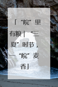 “皖”里有粮｜“三夏”时节，一“皖”麦香