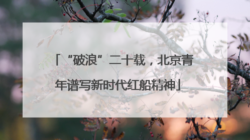 “破浪”二十载，北京青年谱写新时代红船精神