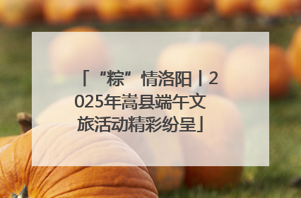 “粽”情洛阳丨2025年嵩县端午文旅活动精彩纷呈