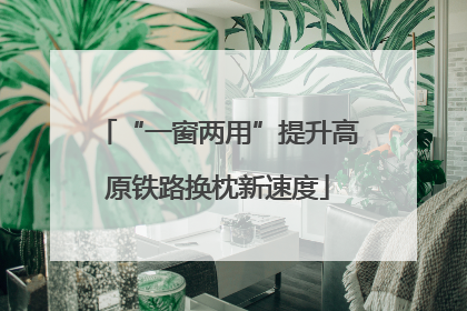 “一窗两用”提升高原铁路换枕新速度