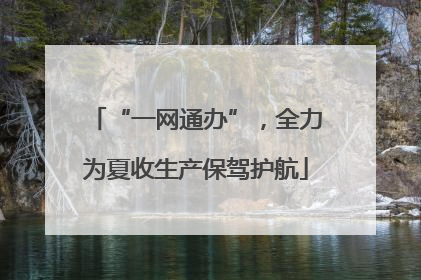 “一网通办”，全力为夏收生产保驾护航