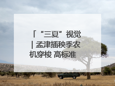 “三夏”视觉｜孟津插秧季农机穿梭 高标准农田披绿装