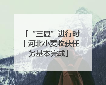 “三夏”进行时丨河北小麦收获任务基本完成