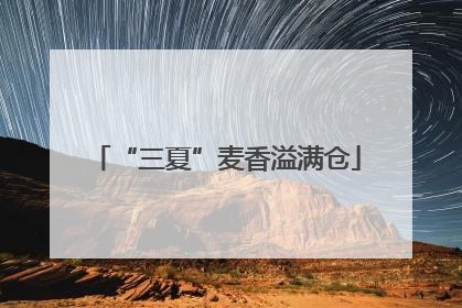 “三夏”麦香溢满仓