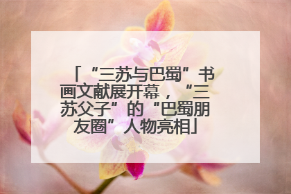 “三苏与巴蜀”书画文献展开幕，“三苏父子”的“巴蜀朋友圈”人物亮相