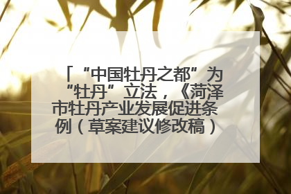 “中国牡丹之都”为“牡丹”立法，《菏泽市牡丹产业发展促进条例（草案建议修改稿）》公开征求意见