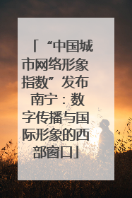 “中国城市网络形象指数”发布 南宁：数字传播与国际形象的西部窗口