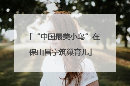 “中国最美小鸟”在保山昌宁筑巢育儿