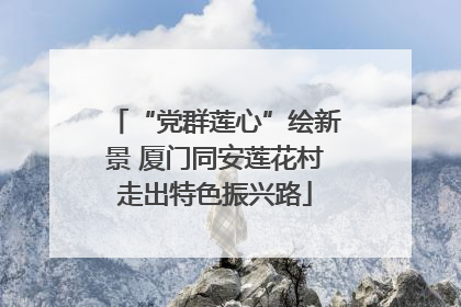 “党群莲心”绘新景 厦门同安莲花村走出特色振兴路