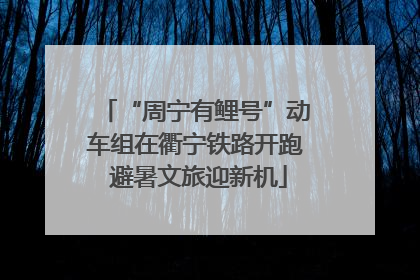“周宁有鲤号”动车组在衢宁铁路开跑 避暑文旅迎新机