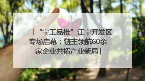 “宁工品推”江宁开发区专场启幕：链主领航60余家企业共拓产业新局