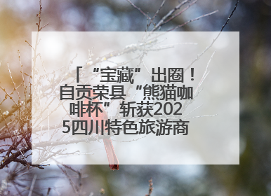 “宝藏”出圈！自贡荣县“熊猫咖啡杯”斩获2025四川特色旅游商品大赛铜奖