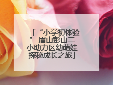 “小学初体验” 眉山彭山二小助力区幼萌娃探秘成长之旅