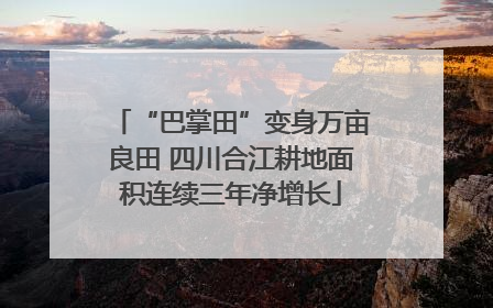 “巴掌田”变身万亩良田 四川合江耕地面积连续三年净增长