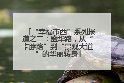 “幸福市西”系列报道之二：盛华路，从“卡脖路”到“景观大道”的华丽转身