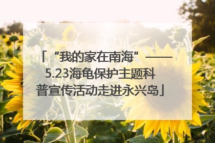 “我的家在南海”——5.23海龟保护主题科普宣传活动走进永兴岛