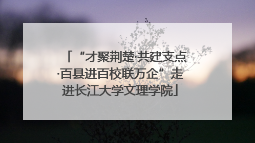 “才聚荆楚·共建支点·百县进百校联万企”走进长江大学文理学院