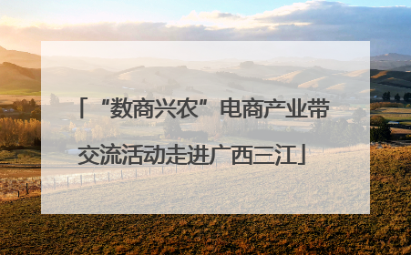 “数商兴农”电商产业带交流活动走进广西三江