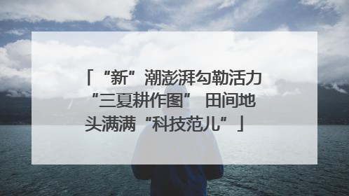 “新”潮澎湃勾勒活力“三夏耕作图” 田间地头满满“科技范儿”