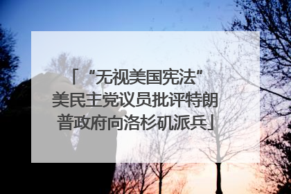“无视美国宪法” 美民主党议员批评特朗普政府向洛杉矶派兵
