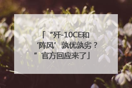 “歼-10CE和‘阵风’孰优孰劣？”官方回应来了