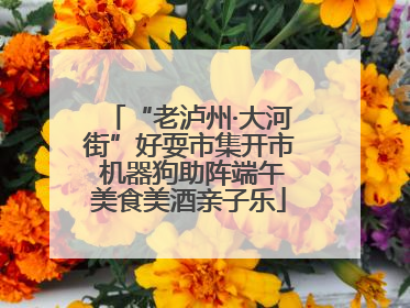 “老泸州·大河街”好耍市集开市 机器狗助阵端午美食美酒亲子乐