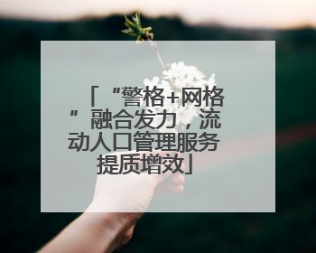 “警格+网格”融合发力，流动人口管理服务提质增效