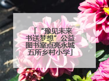 “豫见未来 书送梦想”公益图书室点亮永城五所乡村小学