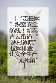 “责任网”织密安全防线！新泰青云街道“逐村逐院”拉网排查，让安全生产“无死角”