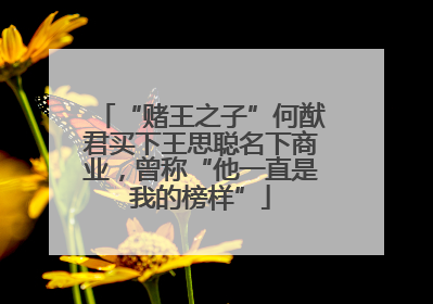 “赌王之子”何猷君买下王思聪名下商业，曾称“他一直是我的榜样”