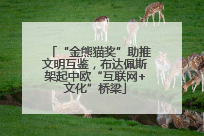 “金熊猫奖”助推文明互鉴，布达佩斯架起中欧“互联网+文化”桥梁