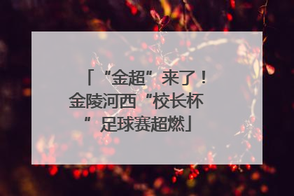 “金超”来了！金陵河西“校长杯”足球赛超燃