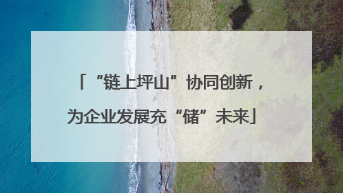 “链上坪山”协同创新，为企业发展充“储”未来