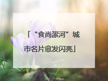 “食尚漯河”城市名片愈发闪亮