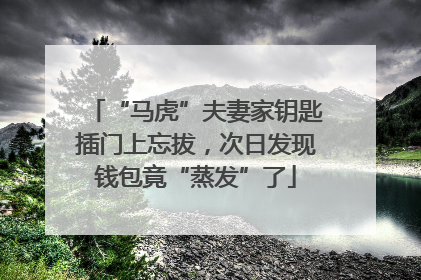 “马虎”夫妻家钥匙插门上忘拔，次日发现钱包竟“蒸发”了