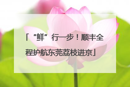 “鲜”行一步！顺丰全程护航东莞荔枝进京