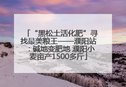“黑松土活化肥”寻找最美粮王——濮阳站：碱地变肥地 濮阳小麦亩产1500多斤