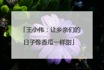 王小伟：让乡亲们的日子像香瓜一样甜
