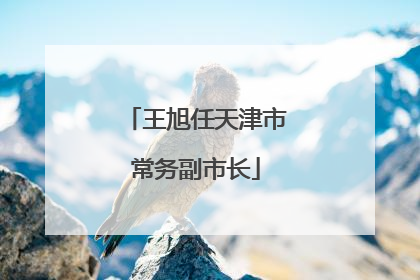 王旭任天津市常务副市长