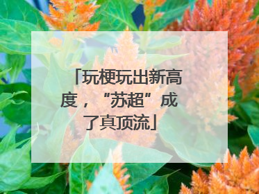 玩梗玩出新高度，“苏超”成了真顶流