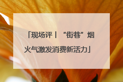 现场评丨“街巷”烟火气激发消费新活力