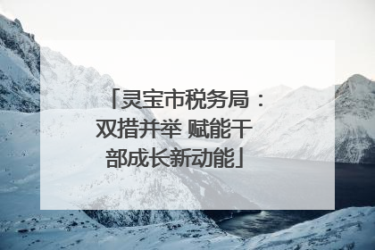 灵宝市税务局：双措并举 赋能干部成长新动能