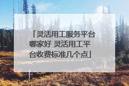 灵活用工服务平台哪家好 灵活用工平台收费标准几个点