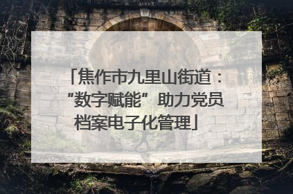 焦作市九里山街道：“数字赋能”助力党员档案电子化管理