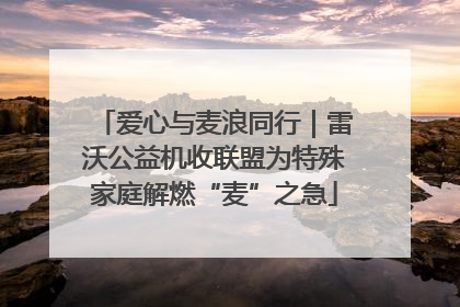 爱心与麦浪同行｜雷沃公益机收联盟为特殊家庭解燃“麦”之急