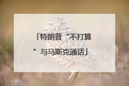 特朗普“不打算”与马斯克通话