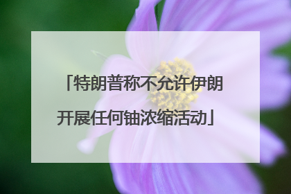 特朗普称不允许伊朗开展任何铀浓缩活动